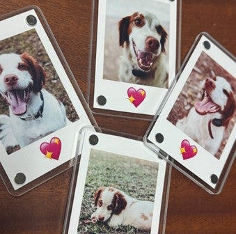 Polaroid Style Fridge Magnets | Set of 4