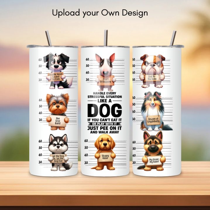 Photo Tumblers with Lid and Straw