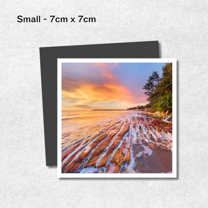 Photo Magnets | Set of 4, 9 or 12
