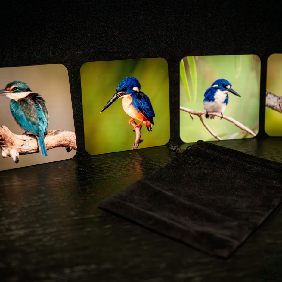 WildFoto Kingfisher Coaster Set