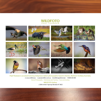 WildFoto 2026 Wall Calendar