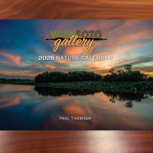 WildFoto 2026 Wall Calendar