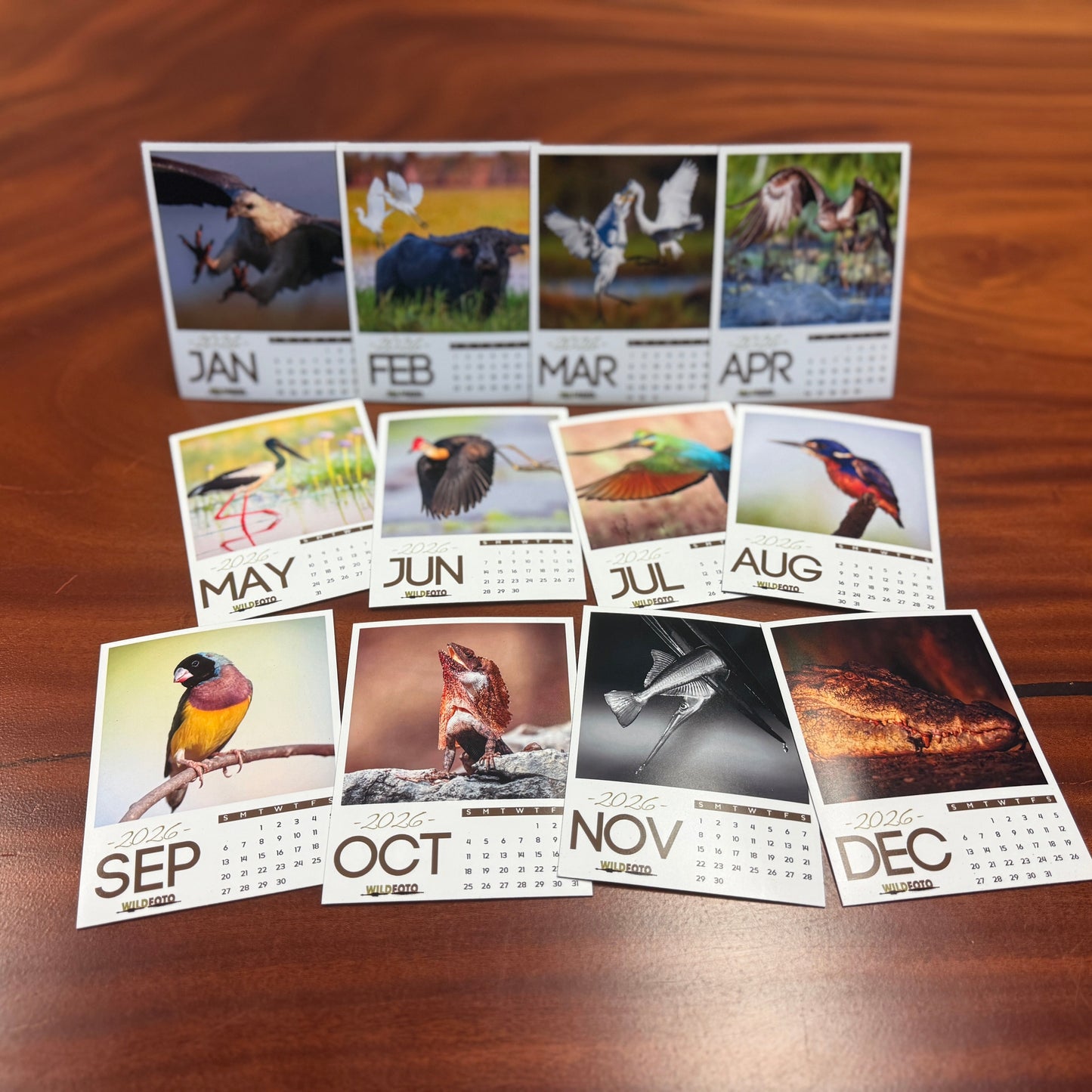 WildFoto 12-Month Magnetic Calendar Set