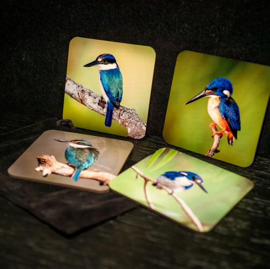 WildFoto Kingfisher Coaster Set