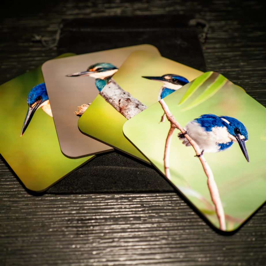 WildFoto Kingfisher Coaster Set