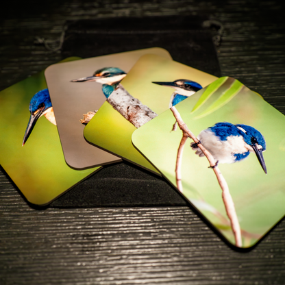 WildFoto Kingfisher Coaster Set