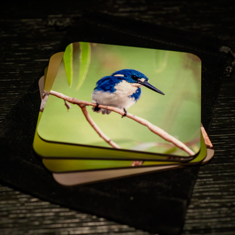 WildFoto Kingfisher Coaster Set