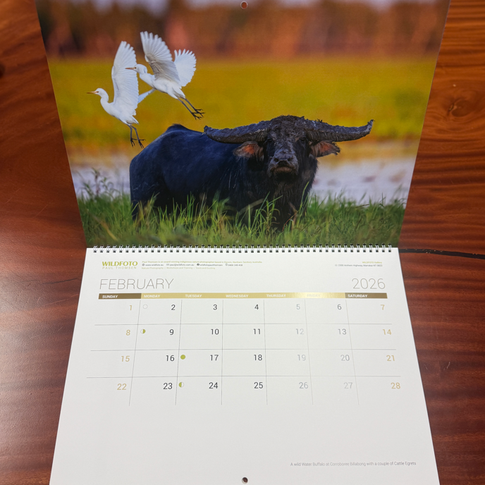 WildFoto 2026 Wall Calendar