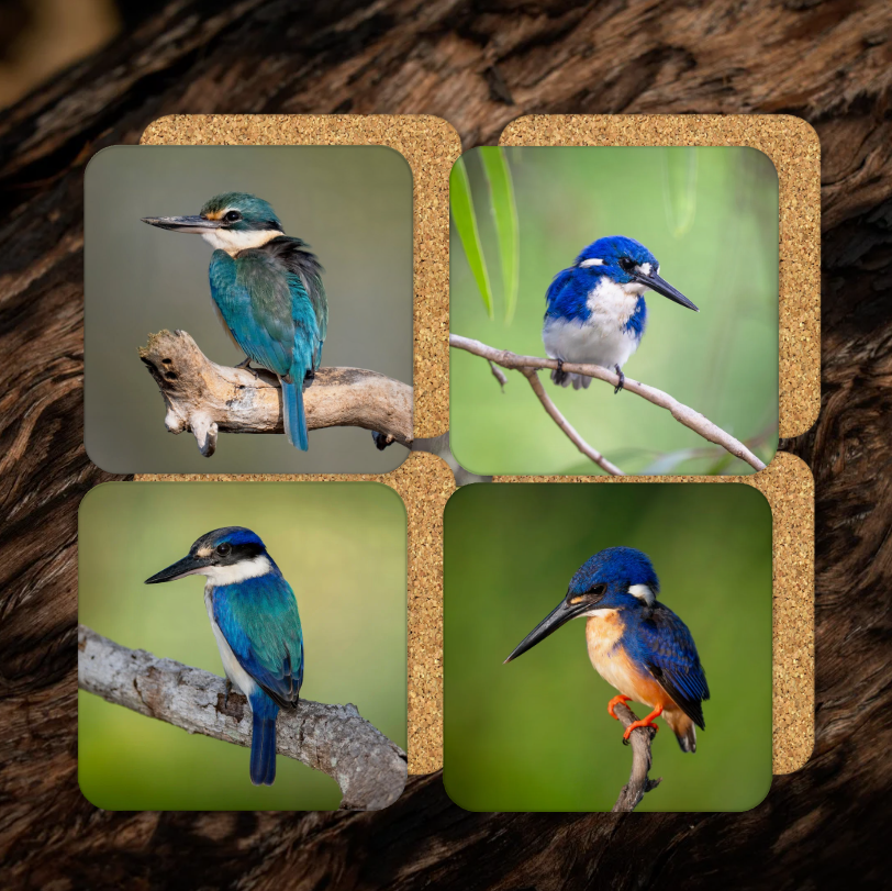 WildFoto Kingfisher Coaster Set
