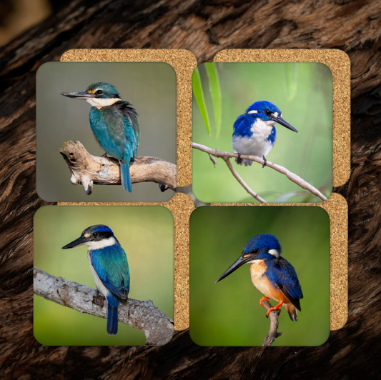 WildFoto Kingfisher Coaster Set