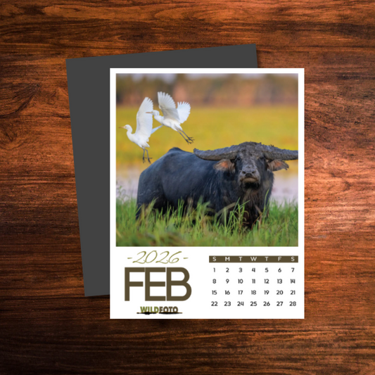 WildFoto 12-Month Magnetic Calendar Set