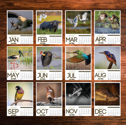 WildFoto 12-Month Magnetic Calendar Set